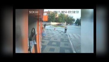 Koyun araçtan düştü, sürücü koşarak yakaladı