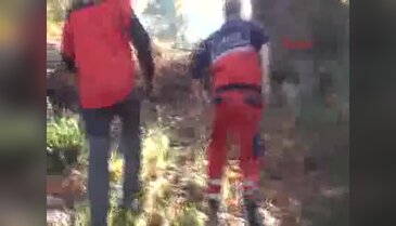 Kayıp kadın 29 saat sonra ormanda bulundu