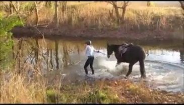 İlk kez suya giren atın şımarması