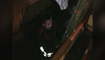 Yavru kedi kurtarma operasyonu