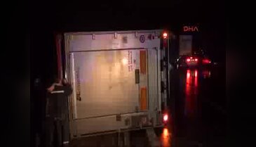Dorsedeki inekler TIR'a kaza yaptırdı