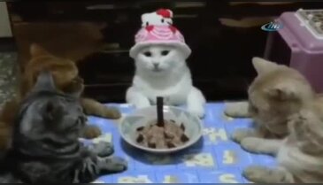 En tatlı doğum günü çocuğu