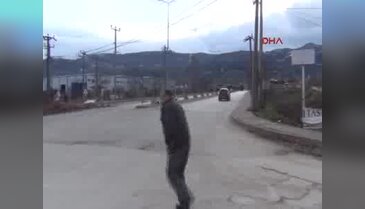 Korkunç kazadan burnu bile kanamadan çıktı