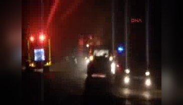 Mudanya'da orman yangını