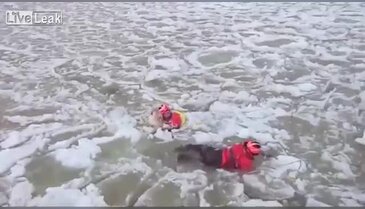 Donmak üzere buldukları köpeği kurtardılar