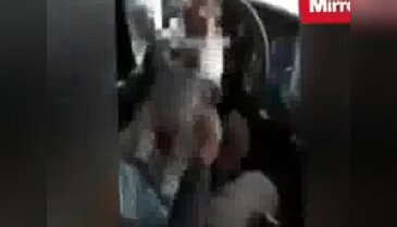 1.5 aylık bebeği direksiyona bağlayıp...