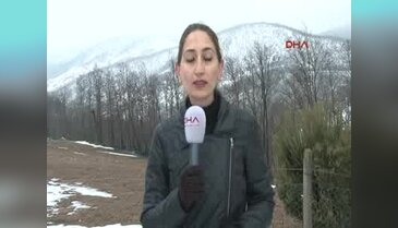 Yalova'daki taş ocaklarına tepki