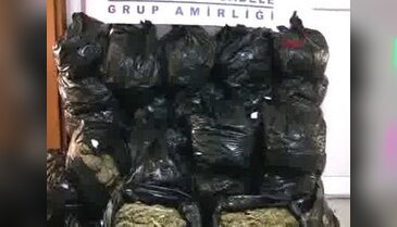 252 kilo esrar ele geçirildi