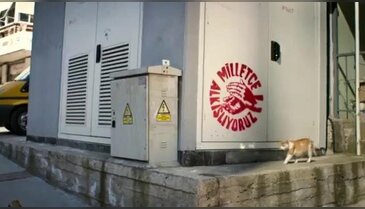 CHP kedili-trafolu reklam yayınladı