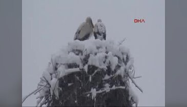 Nisan ayında kar sürprizi