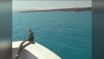 600 bin yaşında çıktı!