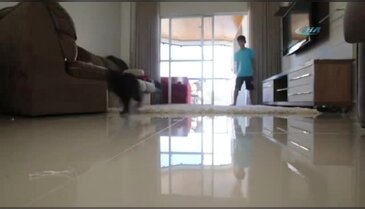 Bu da Taffarelin kedi versiyonu