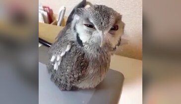 Hey!