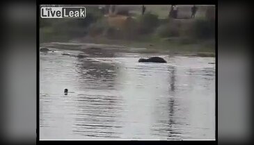 Öldürürken onlarca kişi izledi
