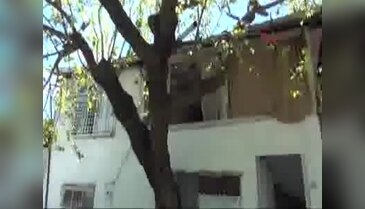 Ağacı kesmeye kıyamadı