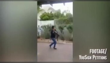 Görme engelli köpeğe işkence!