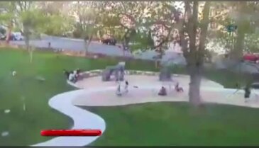 Parkta oynarken üstüne ağaç devrildi
