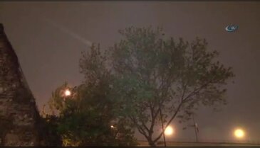 İstanbul'da fırtına ağaçları devirdi