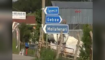 10 bin tavuk itlaf edildi!