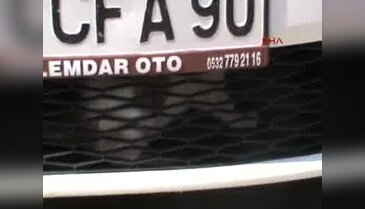 Bursa'da kedi kurtarma operasyonu