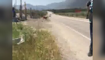 Otomobil domuza çarptı: 1 ölü 1 yaralı