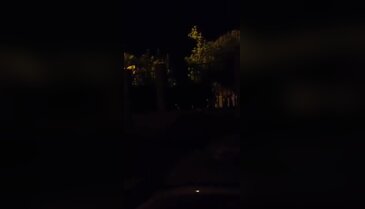 Türk Traktör'de sesler yükseldi