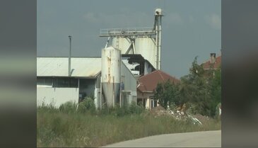 Bursa'da kuş gribi vakası