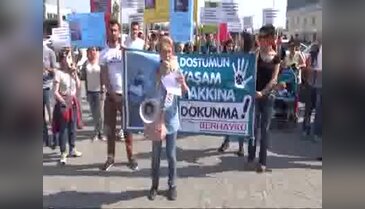 22 köpeğin zehirlenmesi protesto edildi