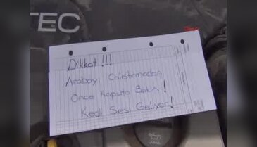 Yavru kedi ortalığı karıştırdı