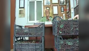 Bu cami kendi elektriğini kendi üretiyor