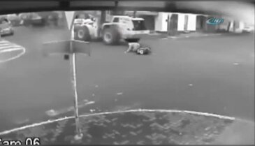 Bu kazadan sağ kurtuldu