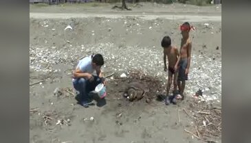 Yaralı caretta caretta tedaviye alındı