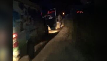 Yaban domuzu araması
