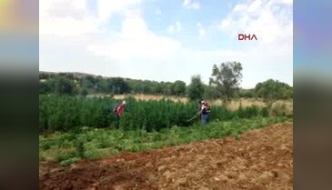 Diyarbakır'da geniş kapsamlı operasyon