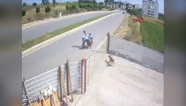Köpeği acımasızca öldürdü!