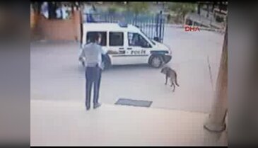 Komiser yardımcısı, karakolun bahçesinde köpeği vurdu!
