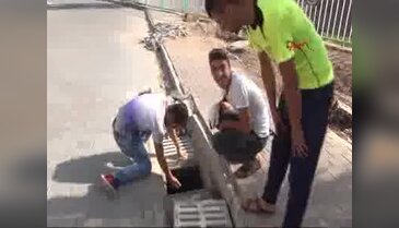 Yavru kedi 4 gün sonra kurtarıldı