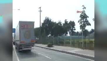 Yalova'da yine ağaç kesimi