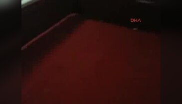 Hayvanları Koruma Derneği'ne horoz dövüşü operasyonu