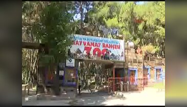 Hayvanat bahçesinde serinletme hizmeti