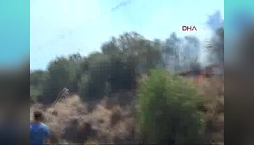 Sıcaklarla birlikte yangın haberleri ardı ardına geliyor