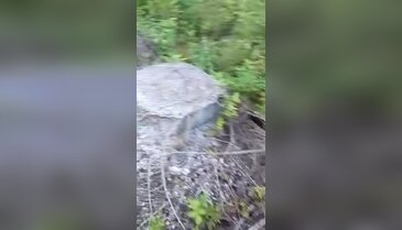 Bursa Epçeler köyü sakini isyan etti!