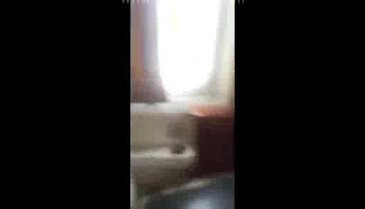 Havada akbaba ile çarpışan uçak bu hale geldi