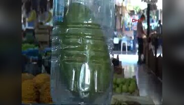 Bu karpuzun tanesi 250 lira