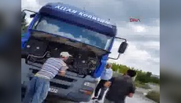 TIR'a giren yılan panik yarattı