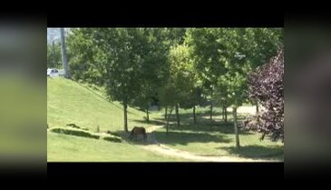 Sıcaktan bunalan Bursalılar parklara akın etti