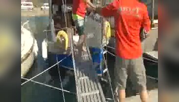Adada mahsur kalan kediye akut operasyonu