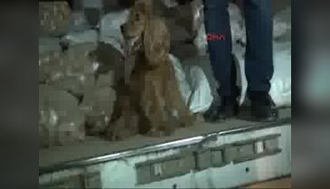 Bursa'ya gelen TIR'dan 150 KG eroin yakalandı
