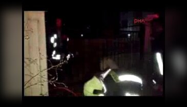 Kediyi kovalayan köpek demir parmaklıklara sıkıştı