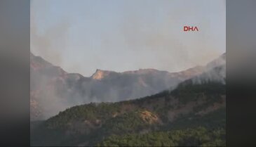 Tunceli ve Nusaybin'de orman yangınları